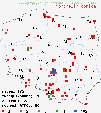 znaleziska Morchella conica (smardz stożkowaty) na terenie Polski