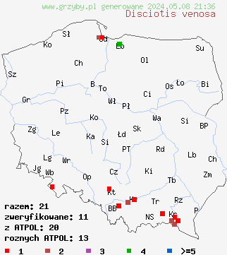 znaleziska Disciotis venosa (krążkówka żyłkowana) na terenie Polski