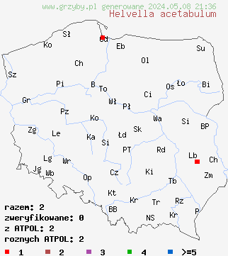znaleziska Helvella acetabulum (piestrzyca pucharowata) na terenie Polski