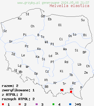 znaleziska Helvella elastica (piestrzyca giętka) na terenie Polski