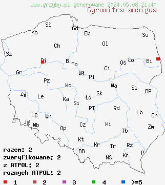 znaleziska Gyromitra ambigua (piestrzenica pośrednia) na terenie Polski