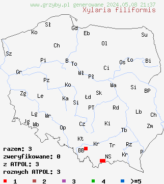 znaleziska Xylaria filiformis (próchnilec nitkowaty) na terenie Polski