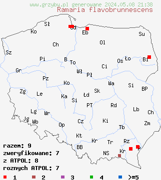 znaleziska Ramaria flavobrunnescens na terenie Polski