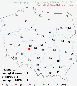 znaleziska Xeromphalina cornui (pępowniczka torfowcowa) na terenie Polski