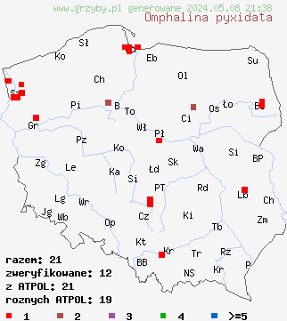 znaleziska Omphalina pyxidata (pępówka kubkowata) na terenie Polski