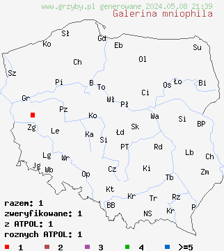 znaleziska Galerina mniophila (hełmówka mcholubna) na terenie Polski