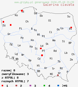znaleziska Galerina clavata (hełmówka wielkozarodnikowa) na terenie Polski