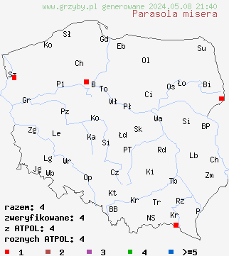 znaleziska Parasola misera (czernidłak delikatny) na terenie Polski