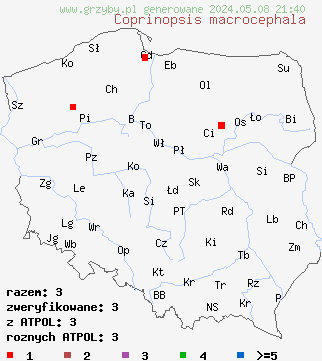 znaleziska Coprinopsis macrocephala (czernidłak wełnistotrzonowy) na terenie Polski