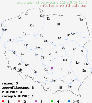 znaleziska Entoloma xanthochroum (dzwonkówka żółtoochrowa) na terenie Polski