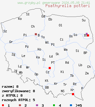znaleziska Psathyrella potteri (kruchaweczka ochrowobiała) na terenie Polski