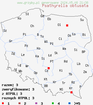 znaleziska Psathyrella obtusata (kruchaweczka białotrzonowa) na terenie Polski
