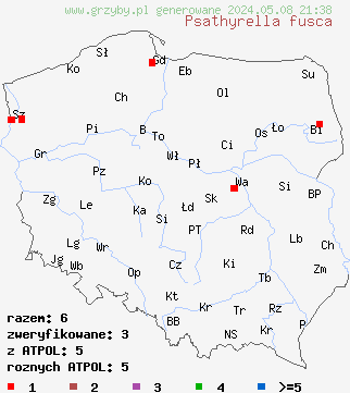 znaleziska Psathyrella fusca (kruchaweczka stożkowata) na terenie Polski
