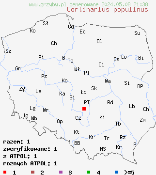 znaleziska Cortinarius populinus na terenie Polski