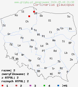 znaleziska Cortinarius glaucopus (zasłonak niebieskostopy) na terenie Polski