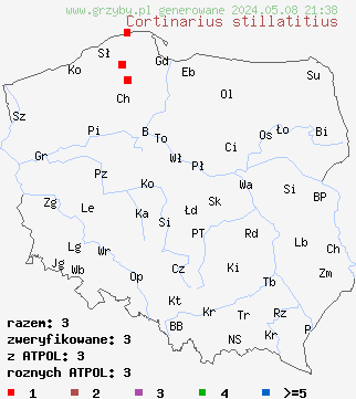 znaleziska Cortinarius stillatitius (zasłonak łzawy) na terenie Polski