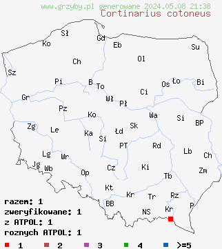 znaleziska Cortinarius cotoneus (zasłonak kutnerkowaty) na terenie Polski