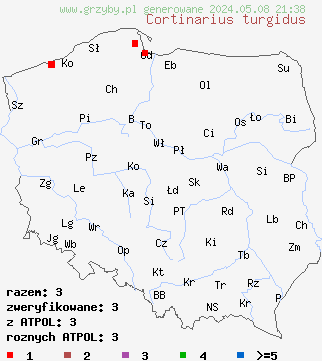 znaleziska Cortinarius turgidus (zasłonak pękaty) na terenie Polski