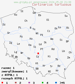 znaleziska Cortinarius tortuosus (zasłonak ołowiowy) na terenie Polski
