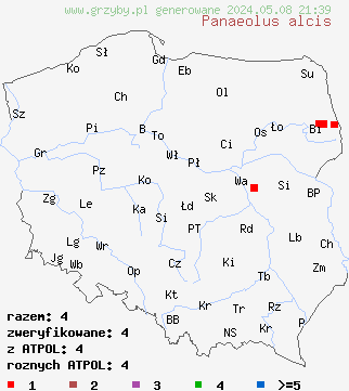 znaleziska Panaeolus alcis (kołpaczek łosiowy) na terenie Polski