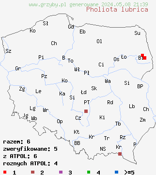 znaleziska Pholiota lubrica (łuskwiak śliski) na terenie Polski