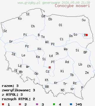 znaleziska Conocybe moseri (stożkówka szarooliwkowa) na terenie Polski