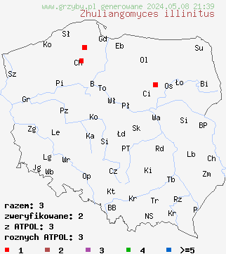 znaleziska Zhuliangomyces illinitus (muchomornica śluzowata) na terenie Polski