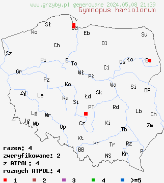 znaleziska Gymnopus hariolorum (łysostopek niemiły) na terenie Polski