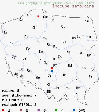 znaleziska Inocybe sambucina (strzępiak bzowy) na terenie Polski