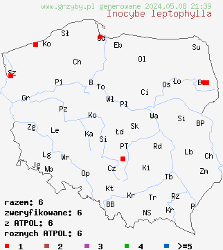 znaleziska Inocybe leptophylla (strzępiak ciemnołuseczkowaty) na terenie Polski