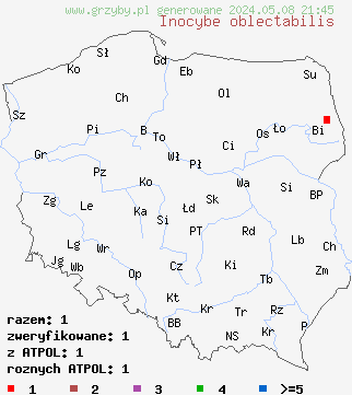 znaleziska Inocybe oblectabilis (strzępiak dziwaczny) na terenie Polski