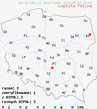 znaleziska Lepiota felina (czubajeczka czarnołuskowa) na terenie Polski