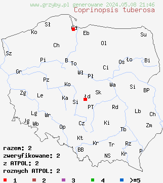 znaleziska Coprinopsis tuberosa (czernidłak sklerotowy) na terenie Polski