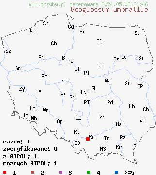 znaleziska Geoglossum umbratile (ziemioziorek pomarszczony) na terenie Polski