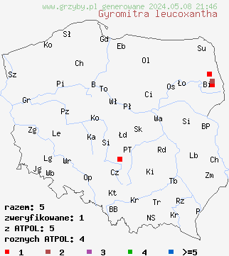 znaleziska Gyromitra leucoxantha (piestrzenica jasnożółta) na terenie Polski