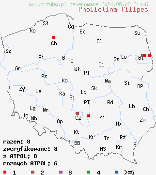 znaleziska Pholiotina filipes na terenie Polski