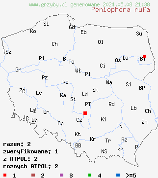 znaleziska Peniophora rufa (powłocznica czerwonawa) na terenie Polski