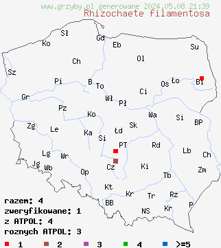znaleziska Rhizochaete filamentosa (korownica włóknista) na terenie Polski