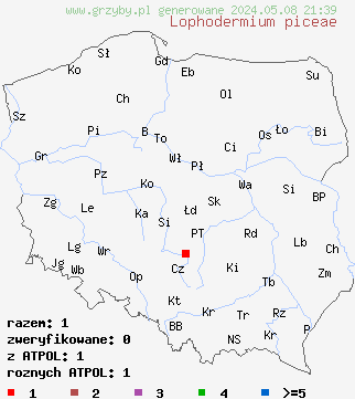 znaleziska Lophodermium piceae (osutka świerkowa) na terenie Polski