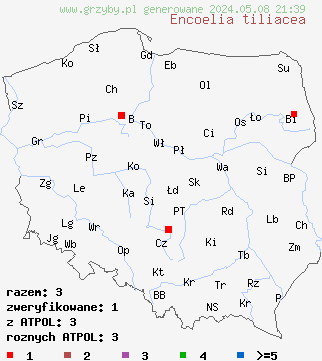 znaleziska Encoelia tiliacea (orzechówka lipowa) na terenie Polski