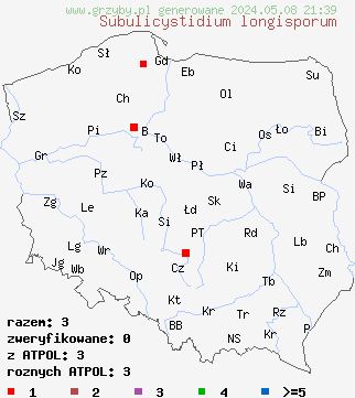 znaleziska Subulicystidium longisporum (szydłowniczek długozarodnikowy) na terenie Polski