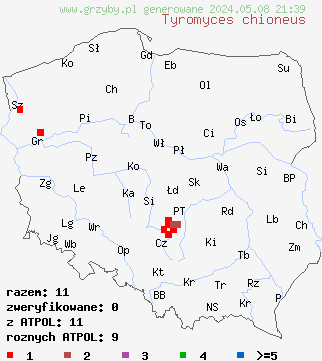 znaleziska Tyromyces chioneus (białak śnieżysty) na terenie Polski