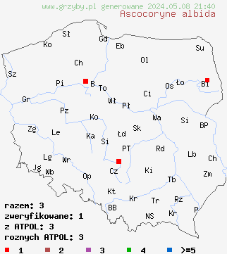 znaleziska Ascocoryne albida (galaretnica biaława) na terenie Polski