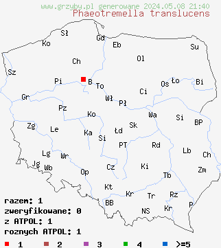 znaleziska Phaeotremella translucens (trzęsakówka przejrzysta) na terenie Polski