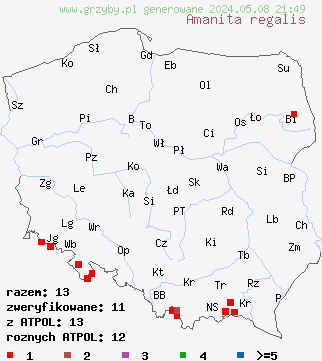 znaleziska Amanita regalis (muchomor królewski) na terenie Polski