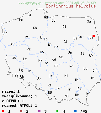 znaleziska Cortinarius helvolus (zasłonak białopierścieniowy) na terenie Polski