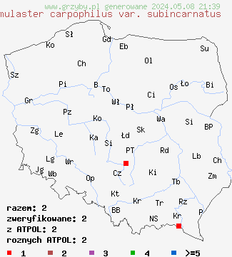 znaleziska Flammulaster carpophilus var. subincarnatus (płomienniczek białoróżowy) na terenie Polski