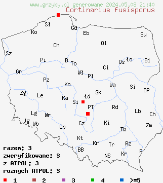 znaleziska Cortinarius fusisporus (zasłonak wrzecionowatozarodnikowy) na terenie Polski