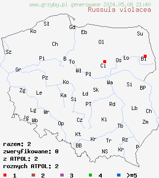 znaleziska Russula violacea (gołąbek fioletowy) na terenie Polski