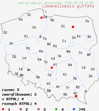 znaleziska Limacellopsis guttata (muchomornica płacząca) na terenie Polski